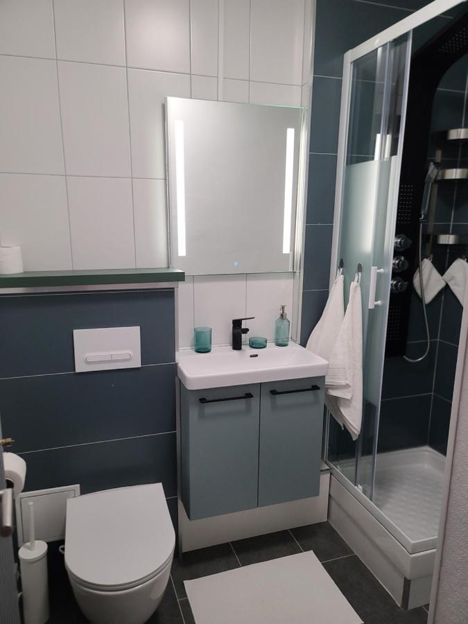 Magnifique Studio 26M2 Belfort Buitenkant foto