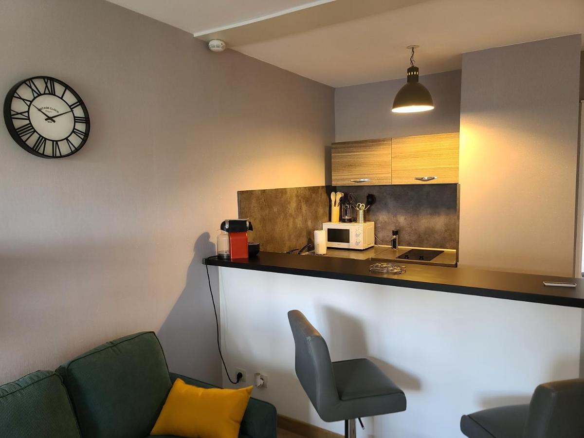 Magnifique Studio 26M2 Belfort Buitenkant foto
