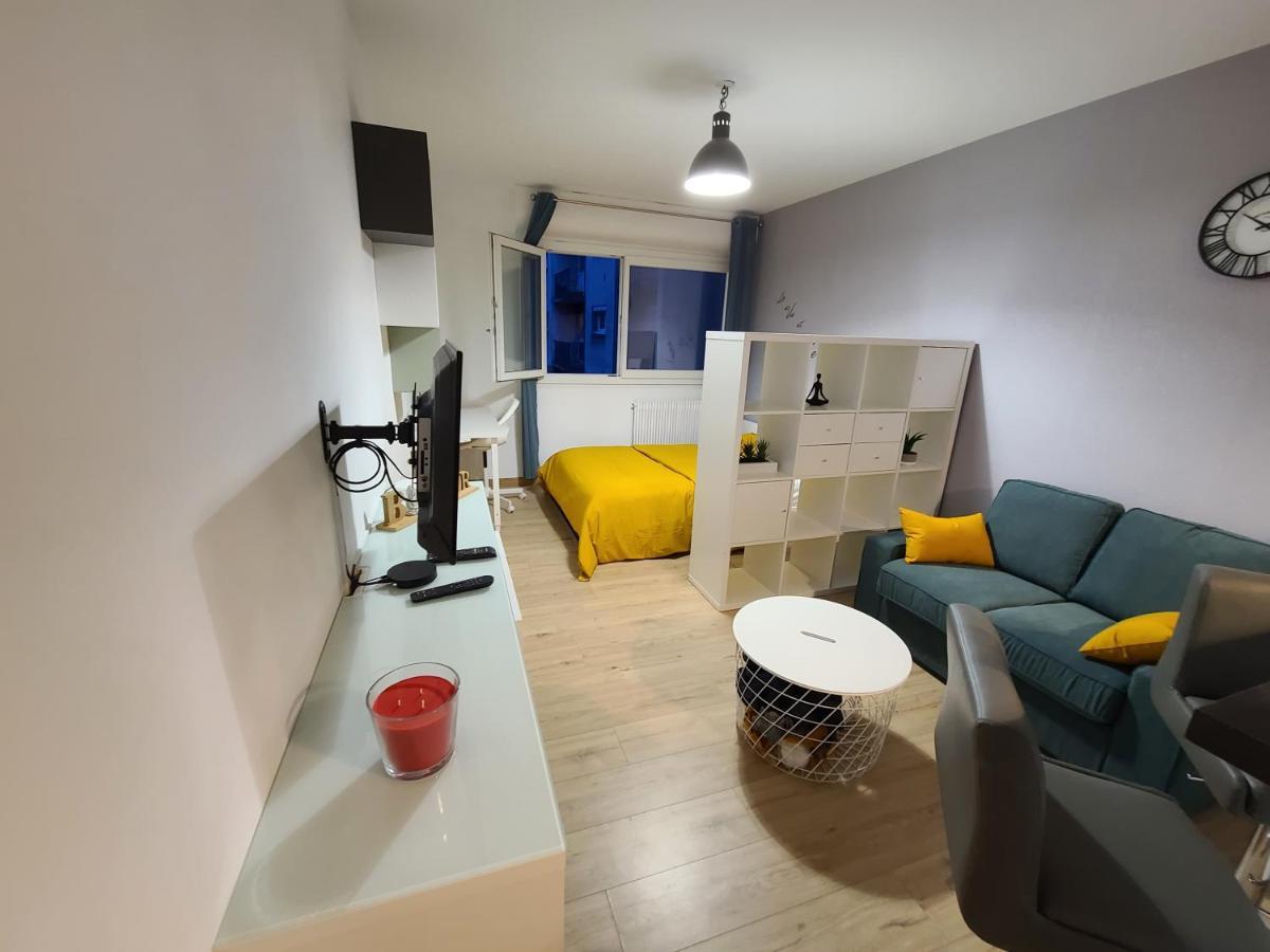 Magnifique Studio 26M2 Belfort Buitenkant foto